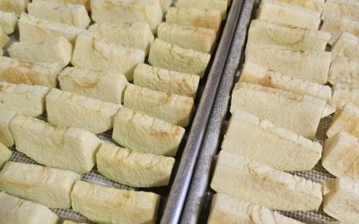 Fall Flavors & Garden City Market