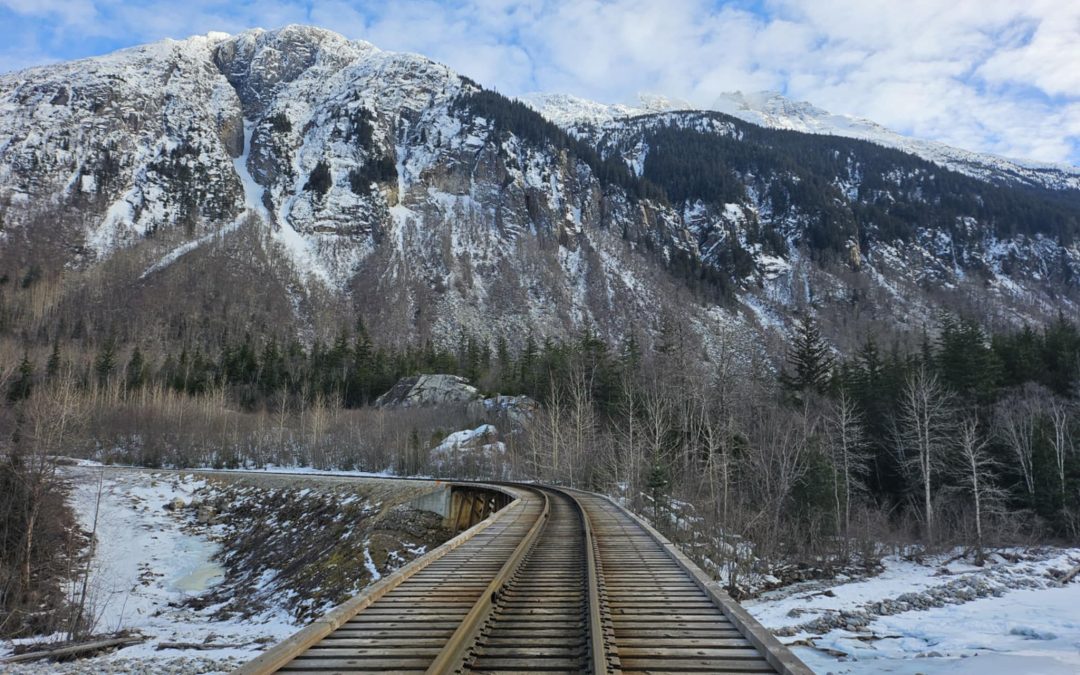 Spring is here — and so are we!